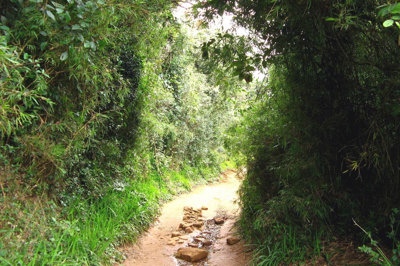 Sri Lanka, Horton Plains